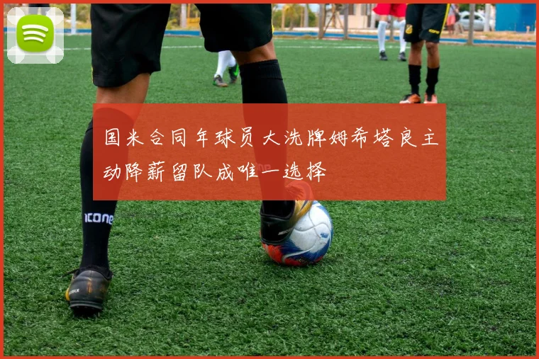 国米合同年球员大洗牌姆希塔良主动降薪留队成唯一选择
